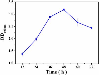 High Correlation Between Structure Development and Chemical Variation During Biofilm Formation by Vibrio parahaemolyticus